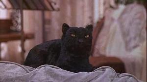 Кадры из фильма Сабрина - маленькая ведьмочка / Sabrina, the Teenage Witch (1996)