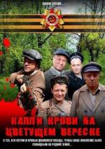 Лето волков