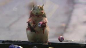 Кадры из фильма Зомби с дороги (Дорожные зомби) / Zombie Roadkill (2010)