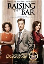 Адвокатская практика / Raising the Bar (2008)