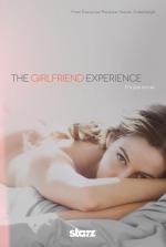 Девушка по вызову / The Girlfriend Experience (2016)
