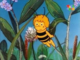 Кадр из фильма Пчёлка Майя / Mitsubachi Maya no boken (1975)