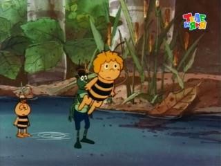 Кадр из фильма Пчёлка Майя / Mitsubachi Maya no boken (1975)