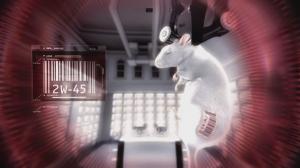 Кадры из фильма История одной крысы / One Rat Short (2006)