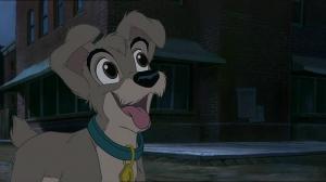 Кадры из фильма Леди и Бродяга + Леди и бродяга 2: Приключения Шалуна / Lady and the Tramp + Lady and the Tramp II: Scamp's Adventure (1955)