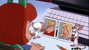 Кадры из фильма Пинки, Элмайра и Брейн / Pinky, Elmyra & the Brain (1998)