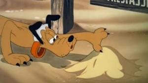 Кадры из фильма Собачий патруль / Canine Patrol (1945)