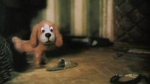 Кадры из фильма Осенняя встреча (1993)