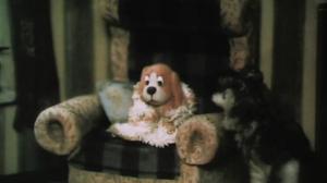 Кадры из фильма Осенняя встреча (1993)