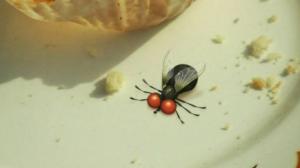 Кадры из фильма Насекомые / Minuscule (2007)