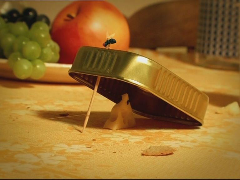 Кадр из фильма Насекомые / Minuscule (2007)