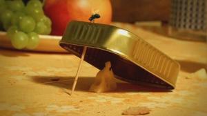 Кадры из фильма Насекомые / Minuscule (2007)