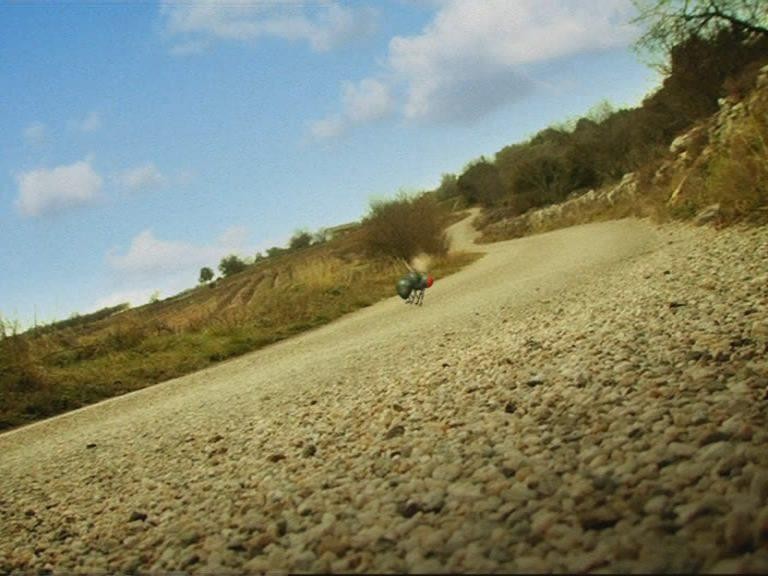 Кадр из фильма Насекомые / Minuscule (2007)