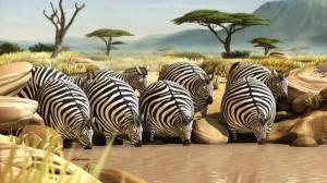 Кадры из фильма Круглое сафари / Rollin' Safari (2012)