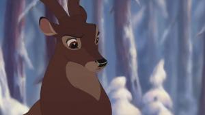 Кадры из фильма Бэмби 2 / Bambi II (2006)