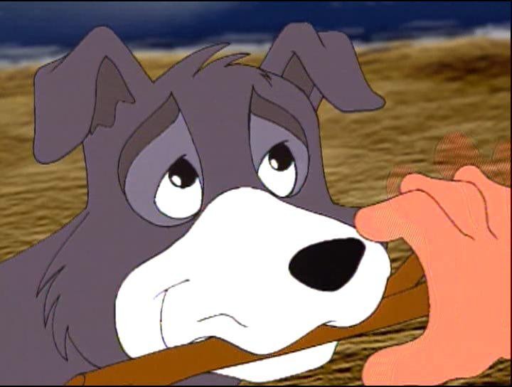 Кадр из фильма Белый клык / White Fang (1991)