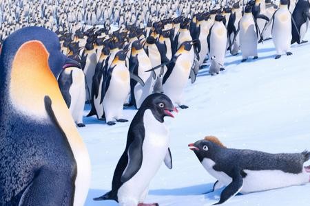 Кадр из фильма Делай ноги 2 / Happy Feet Two (2011)