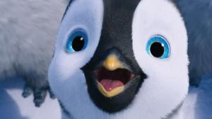Кадры из фильма Делай ноги 2 / Happy Feet Two (2011)