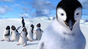 Кадры из фильма Делай ноги / Happy Feet (2006)