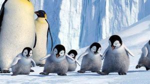 Кадры из фильма Делай ноги / Happy Feet (2006)