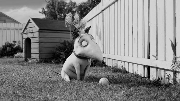 Кадр из фильма Франкенвини / Frankenweenie (2012)