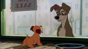 Кадры из фильма Леди и Бродяга / Lady and the Tramp (1955)