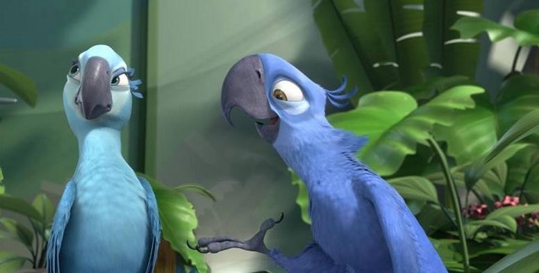 Кадр из фильма Рио 2 / Rio 2 (2014)