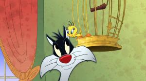 Кадры из фильма Шоу Луни Тюнз / The Looney Tunes Show (2011)