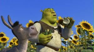 Кадры из фильма Шрэк / Shrek (2001)