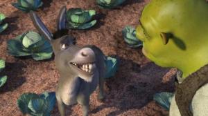 Кадры из фильма Шрэк / Shrek (2001)