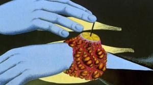 Кадры из фильма Дикая планета / La planete sauvage (1973)