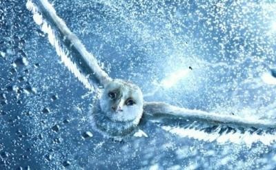 Кадр из фильма Легенды ночных стражей / Legend of the Guardians: The Owls of Ga’Hoole (2010)