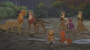 Кадры из фильма Лис и охотничий пес 2 / The Fox and the Hound 2 (2006)