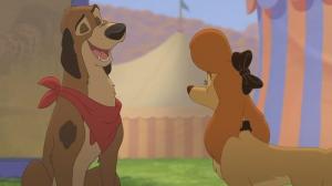 Кадры из фильма Лис и охотничий пес 2 / The Fox and the Hound 2 (2006)