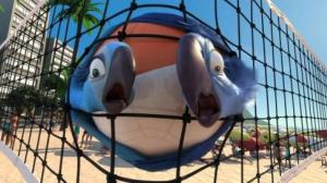 Кадры из фильма Рио / Rio (2011)