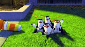 Кадры из фильма Мадагаскар / Madagascar (2005)