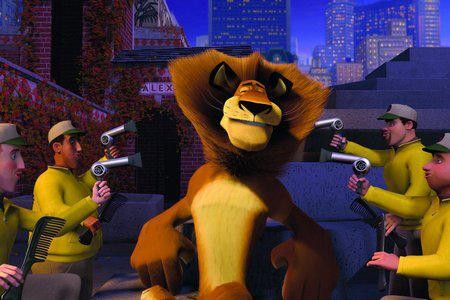 Кадр из фильма Мадагаскар / Madagascar (2005)
