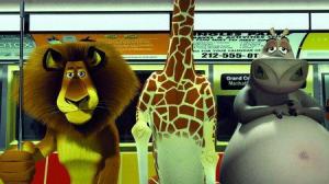 Кадры из фильма Мадагаскар / Madagascar (2005)