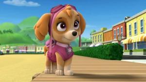 Кадры из фильма Щенячий патруль / PAW Patrol (2013)