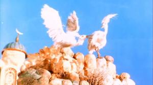 Кадры из фильма Белая цапля (1987)