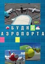 Будни аэропорта / The Airport Diary (2012)