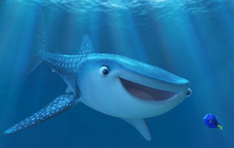 Кадр из фильма В поисках Дори / Finding Dory (2016)