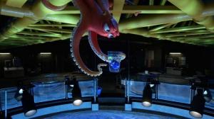Кадры из фильма В поисках Дори / Finding Dory (2016)