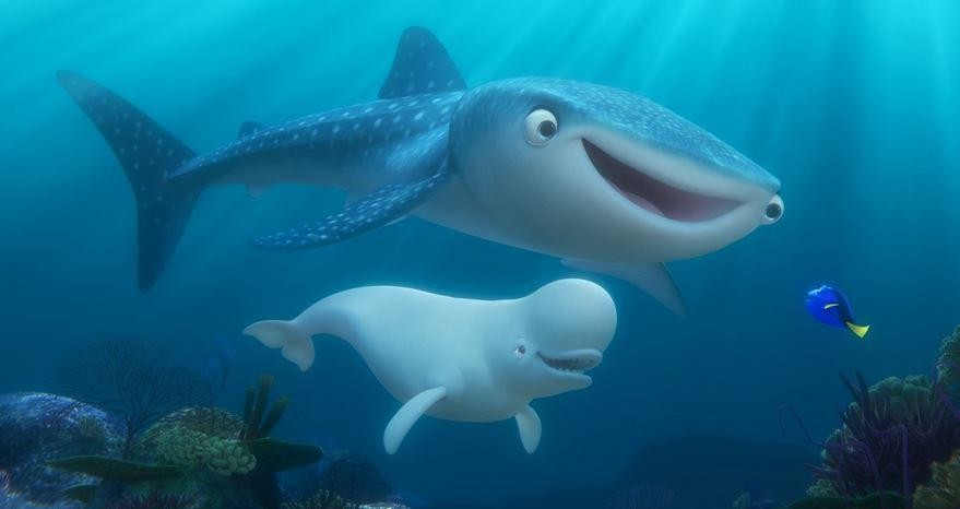 Кадр из фильма В поисках Дори / Finding Dory (2016)
