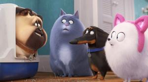 Кадры из фильма Тайная жизнь домашних животных 2 / The Secret Life of Pets 2 (2019)