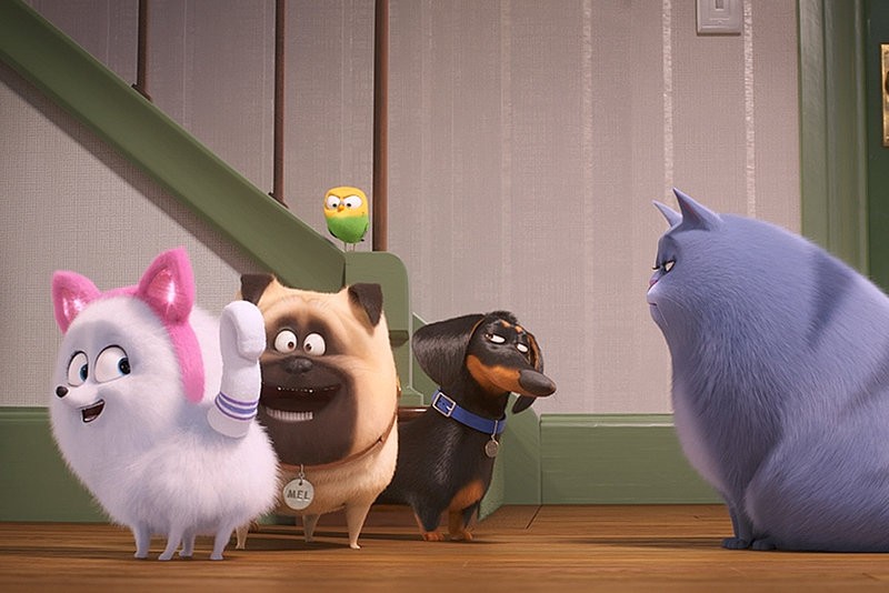 Кадр из фильма Тайная жизнь домашних животных 2 / The Secret Life of Pets 2 (2019)