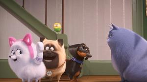 Кадры из фильма Тайная жизнь домашних животных 2 / The Secret Life of Pets 2 (2019)