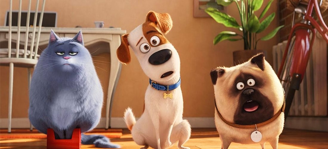Кадр из фильма Тайная жизнь домашних животных 2 / The Secret Life of Pets 2 (2019)