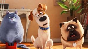 Кадры из фильма Тайная жизнь домашних животных 2 / The Secret Life of Pets 2 (2019)