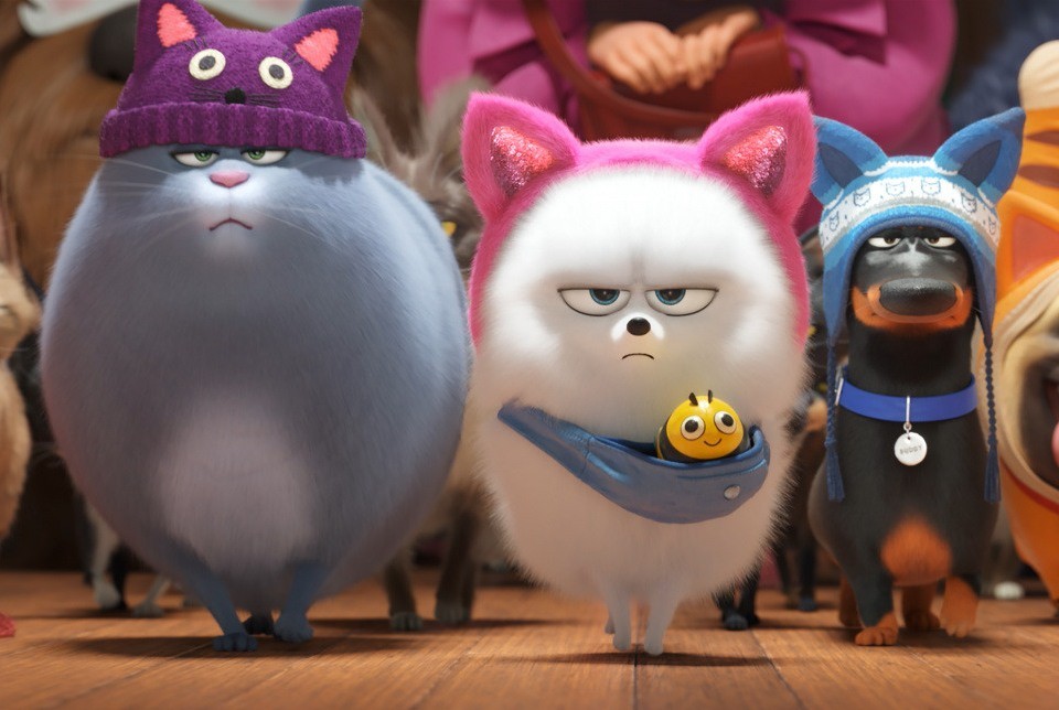 Кадр из фильма Тайная жизнь домашних животных 2 / The Secret Life of Pets 2 (2019)